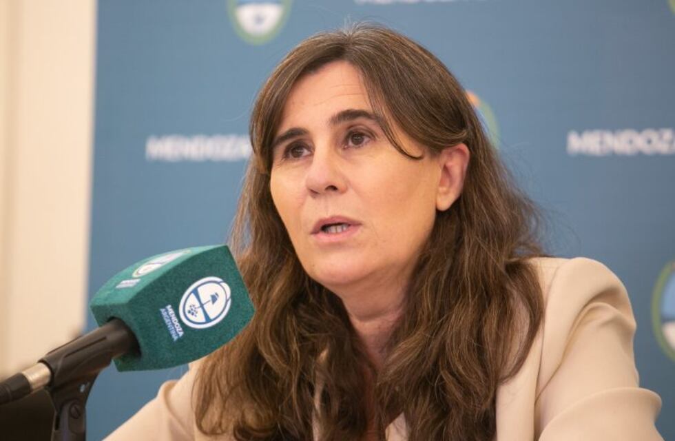 El gobierno trabaja en un certificado de inmunidad