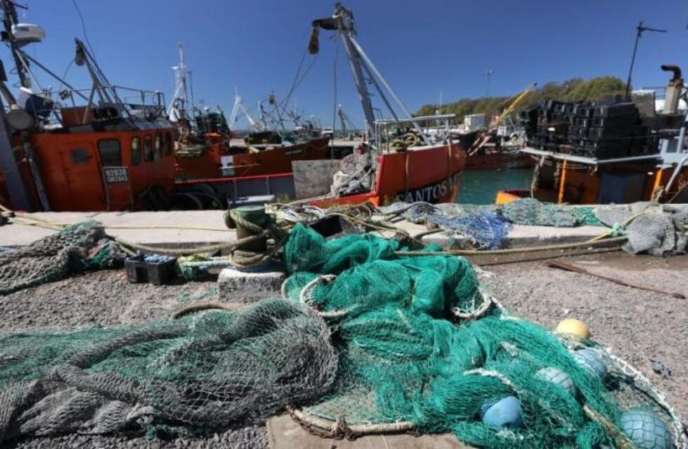 Un informe sobre la industria pesquera de Río Negro resalta su crecimiento