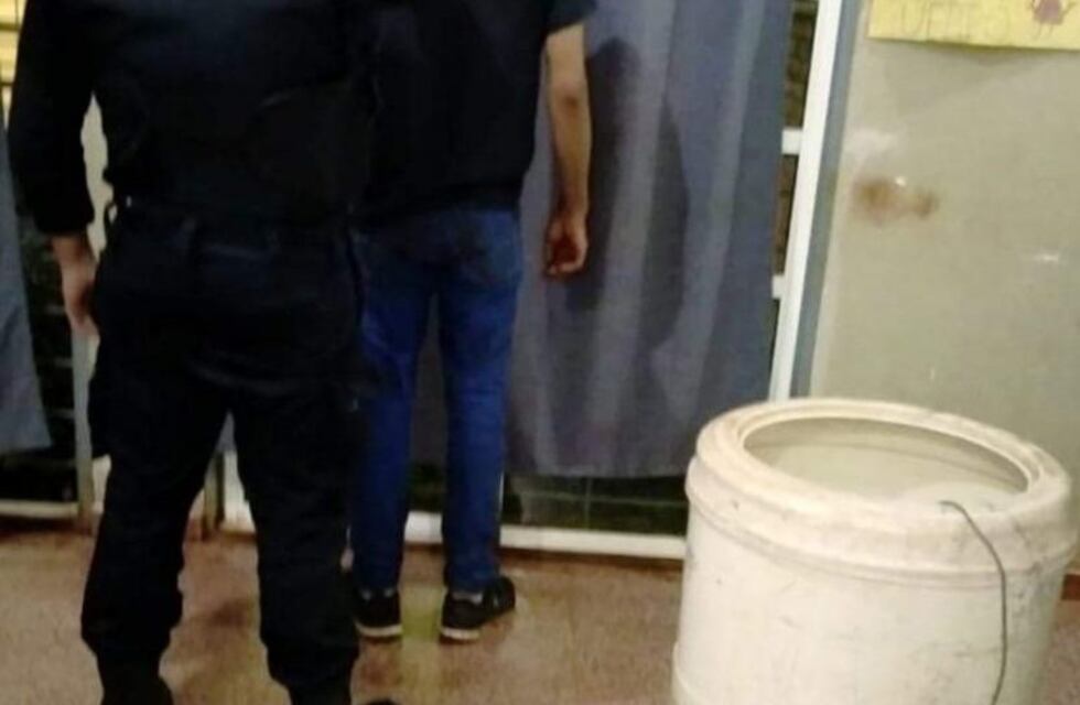 Fue detenido cuando caminaba con un lavarropas robado en el hombro
