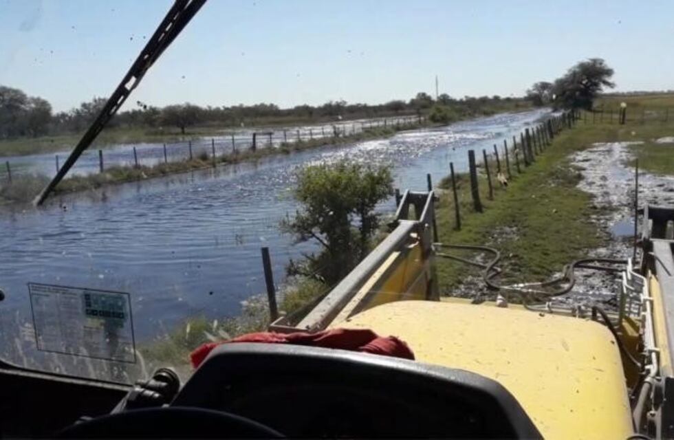 Proponen declarar la emergencia agropecuaria en Córdoba y otras provincias