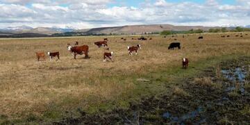 Neuquén invirtió en 2019 más de 200 millones de pesos en mejoras rurales