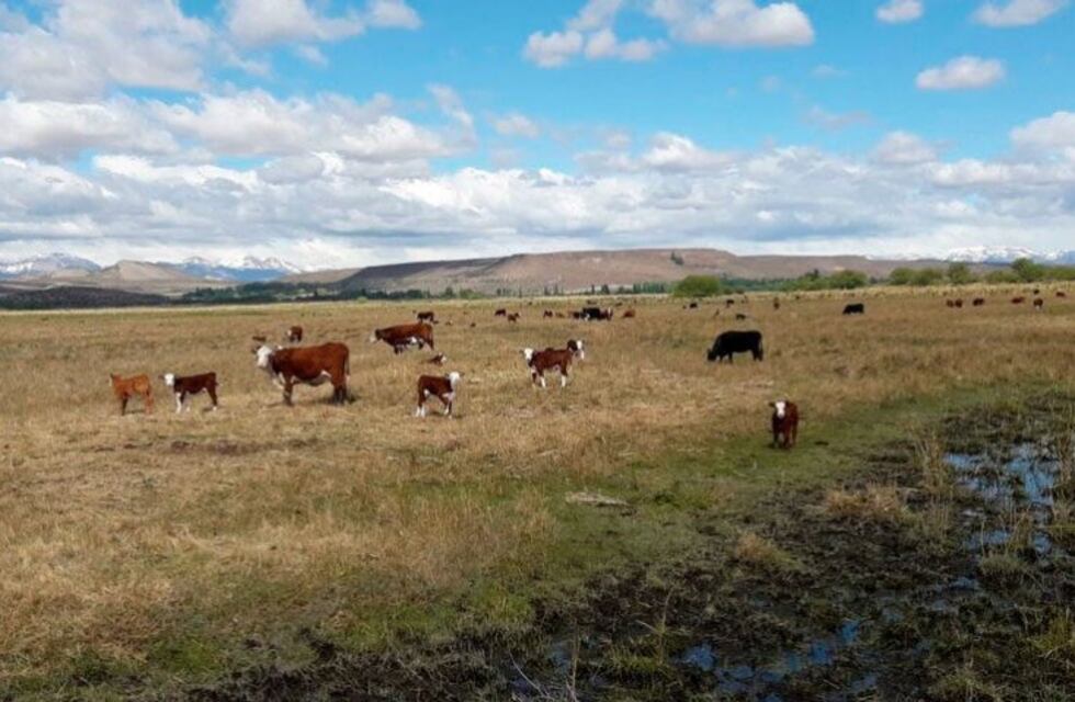Neuquén invirtió en 2019 más de 200 millones de pesos en mejoras rurales