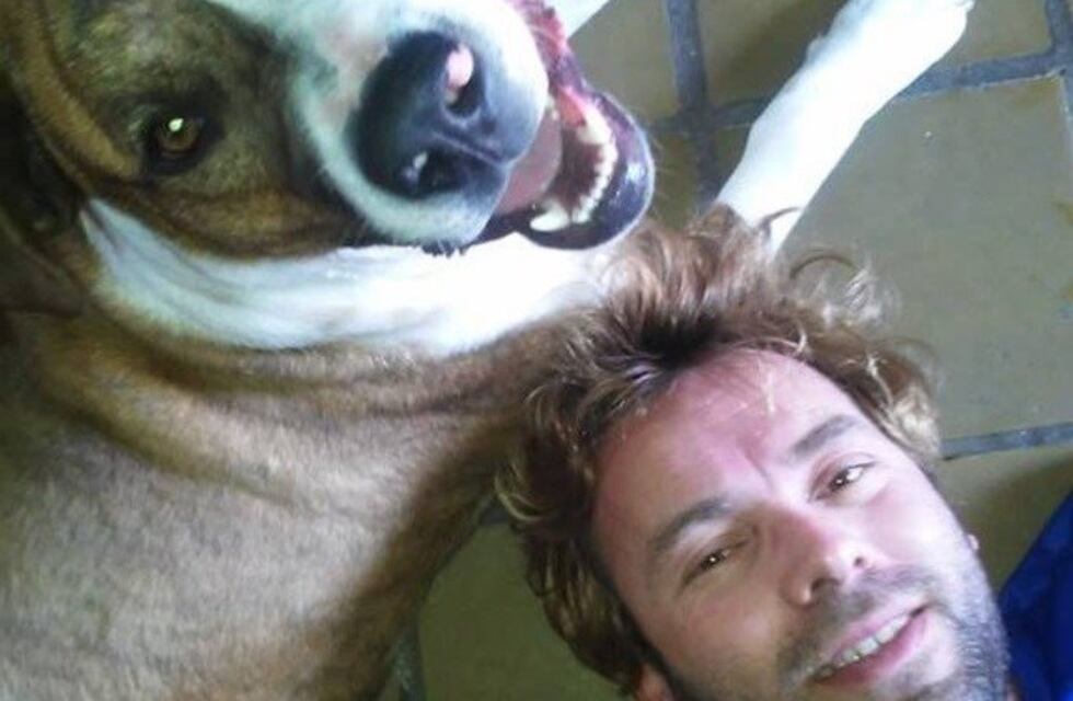 Perdió a su perro en el tren Roca y apareció 20 días después: el video del reencuentro