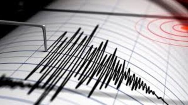 El epicentro del sismo fue en Chile, pero se sintió en Mendoza y San Juan.