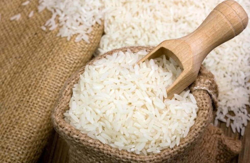 Almidón: cuál es su función y por qué proponen eliminar este carbohidrato de las dietas
