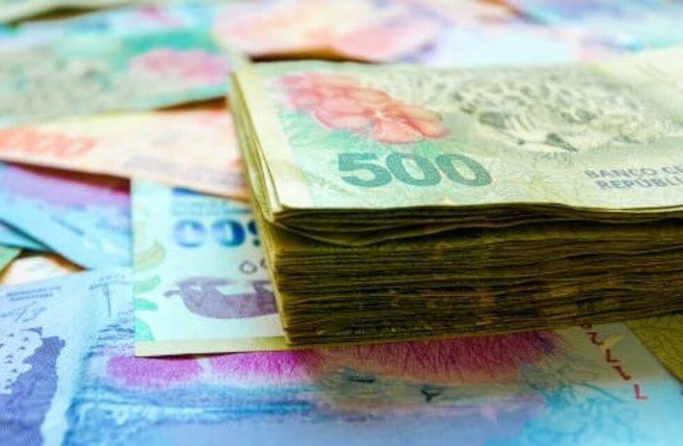 Confirmaron que los animales de los billetes serán eliminados en seis meses