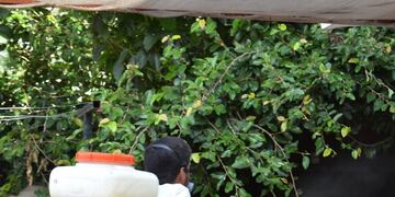 Fumigaron los barrios en donde se detectaron dos casos positivos de Dengue