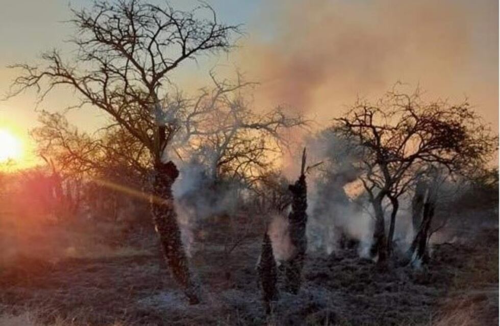 Se incendiaron 40 hectáreas de monte nativo en Conscripto Bernardi