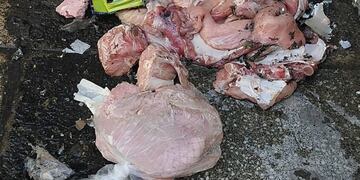 La cartera detonada con pollo en su interior (Foto: CLarín)