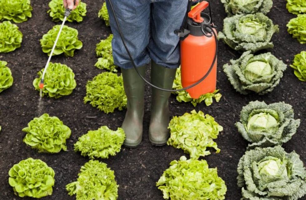 Carlos Paz: darán una charla sobre agroecología urbana y alimentación saludable