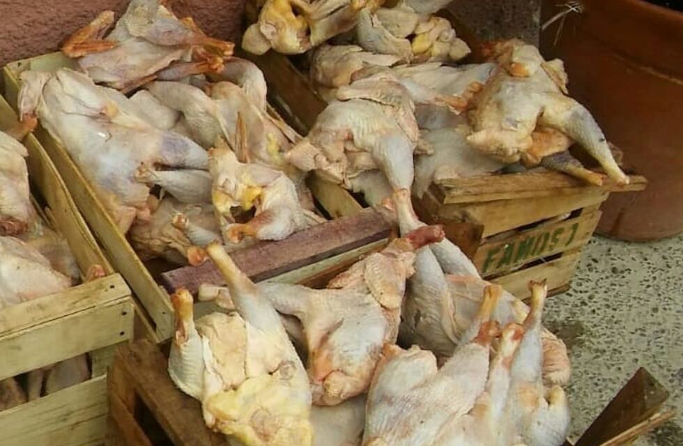 Incautaron gallinas faenadas de manera ilegal