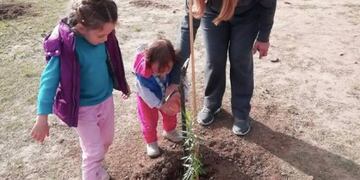 Plantación de Árboles Nativos