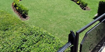 Hipódromo Gualeguaychú\nCrédito: Hipódromo Gchú