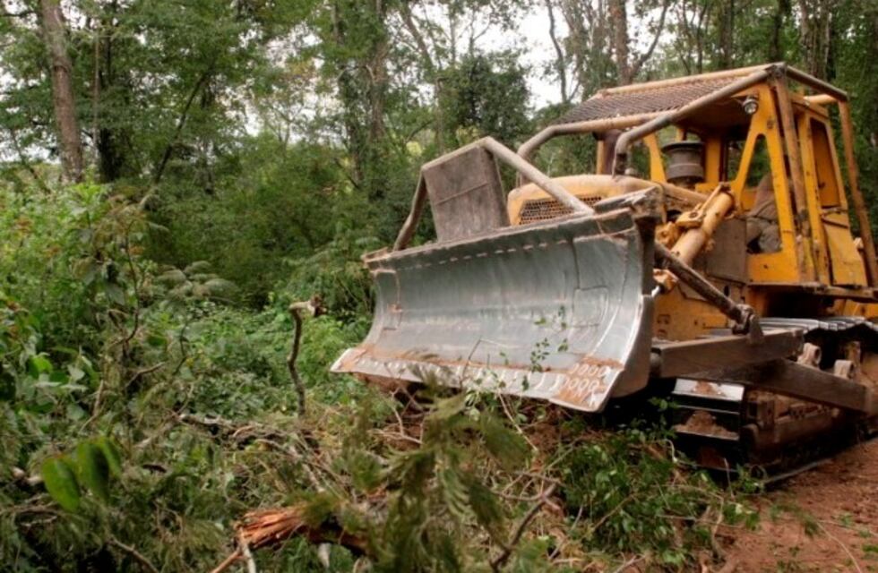 Polémica en San Lorenzo: desmontan parte de la reserva natural para hacer un loteo