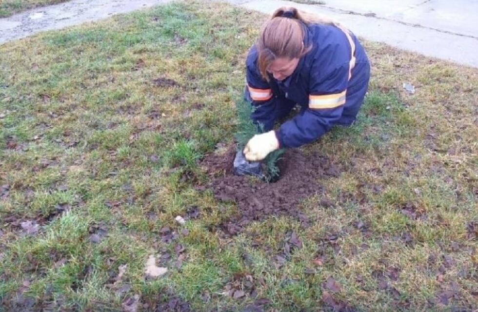 Comenzó el programa "más verde por vos" en el barrio Procrear
