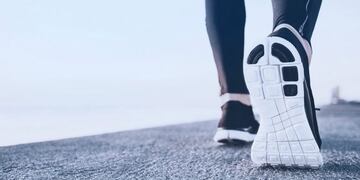 Jornadas de ciencias del movimiento