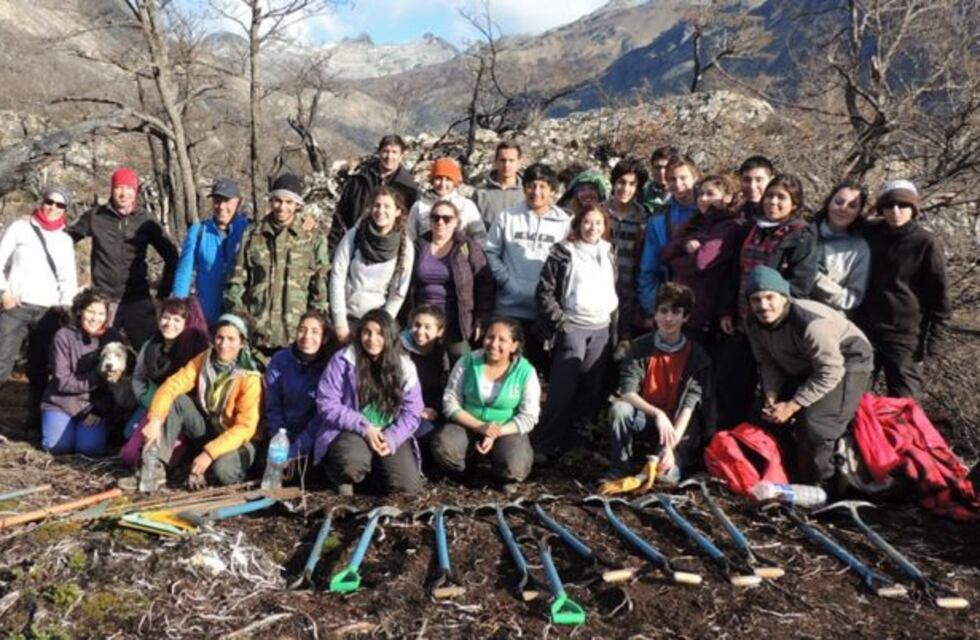 Tierra del Fuego: plantaron 200.000 árboles en área incendiada