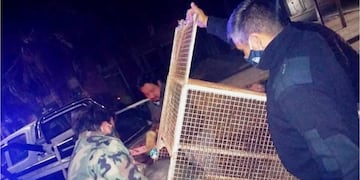 Policía de Catamarca\u002E