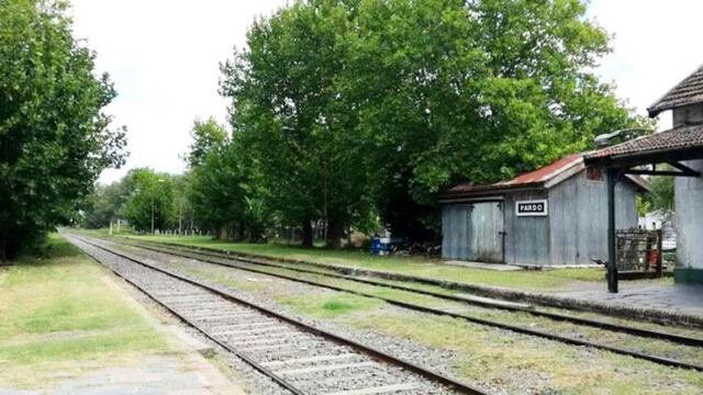 Pardo (Diario Textual)