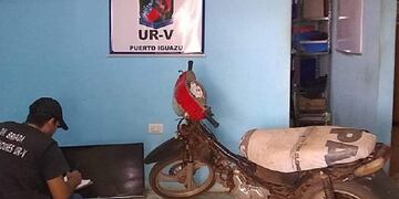 Los elementos recuperados serán entregados a sus dueños\u002E