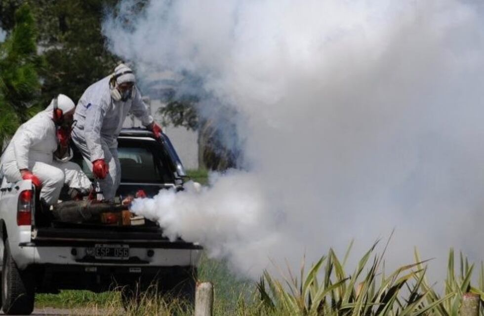 Fumigan los barrios de Iguazú para evitar un brote de dengue