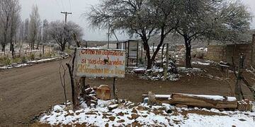 Nevada Alto Carrizal