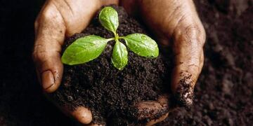 Día Mundial del Suelo