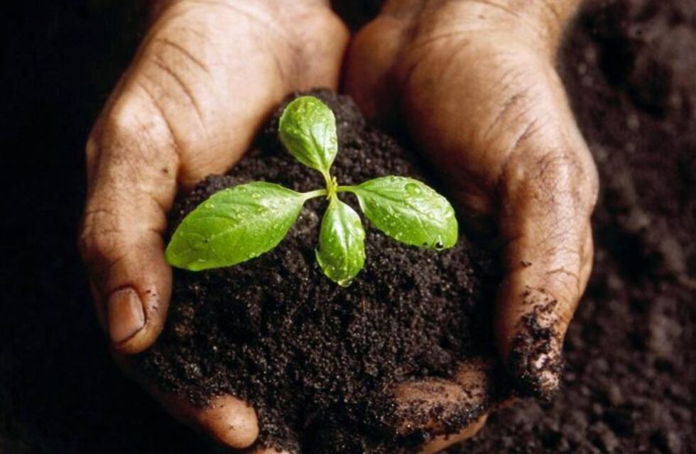 Se realizó una jornada en la UNS por el Día Mundial del Suelo
