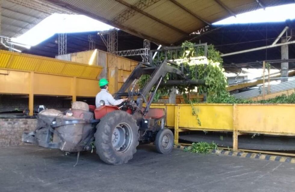 Nuevo debate por el precio de la yerba mate en el INYM