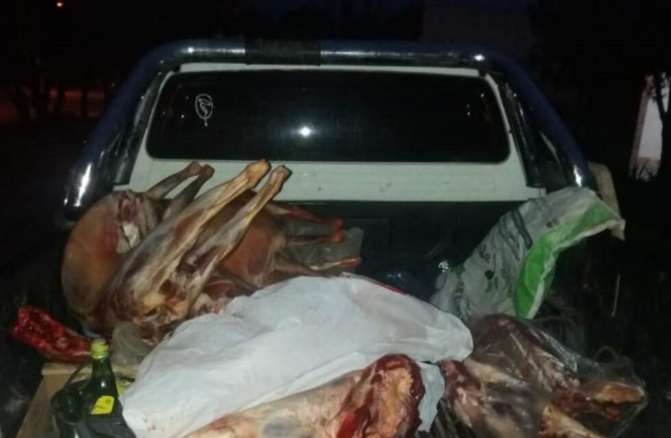 Un carnicero detenido por faena clandestina