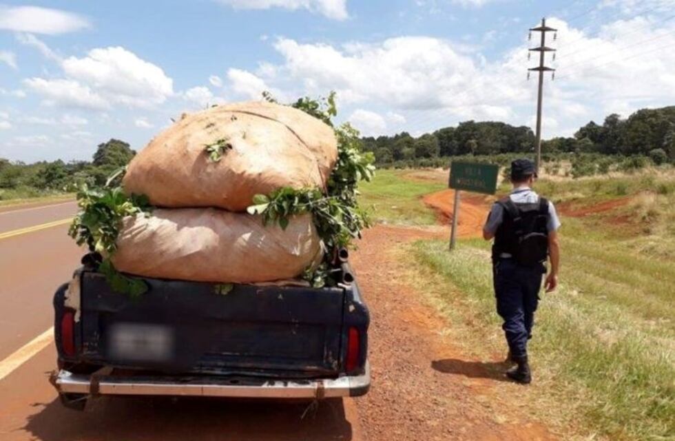 Cayeron ladrones con yerba mate robada en una camioneta
