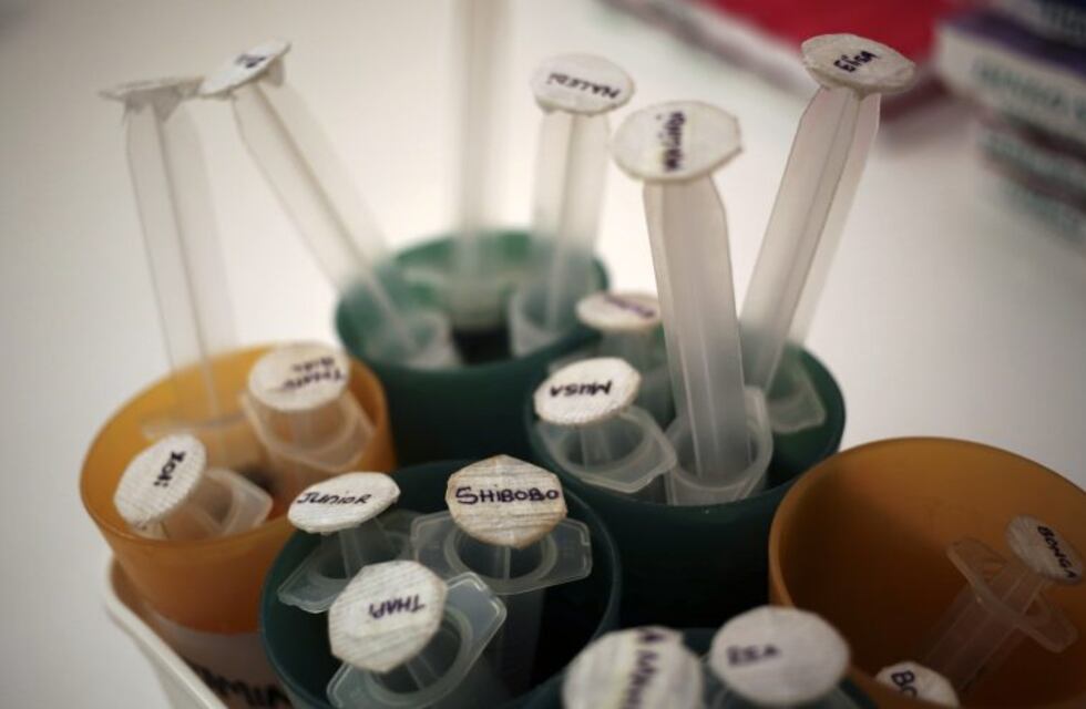 La Justicia volvió a sobreseer a cuatro médicos acusados por cientos de contagios de HIV y hemofilia