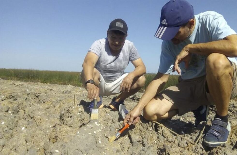 Hallaron restos fósiles de un perezoso gigante de 700 mil años de antigüedad en San Pedro
