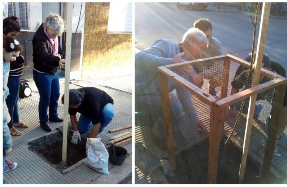 Plantó un árbol en Punta Alta el Taller literario Punto Seguido