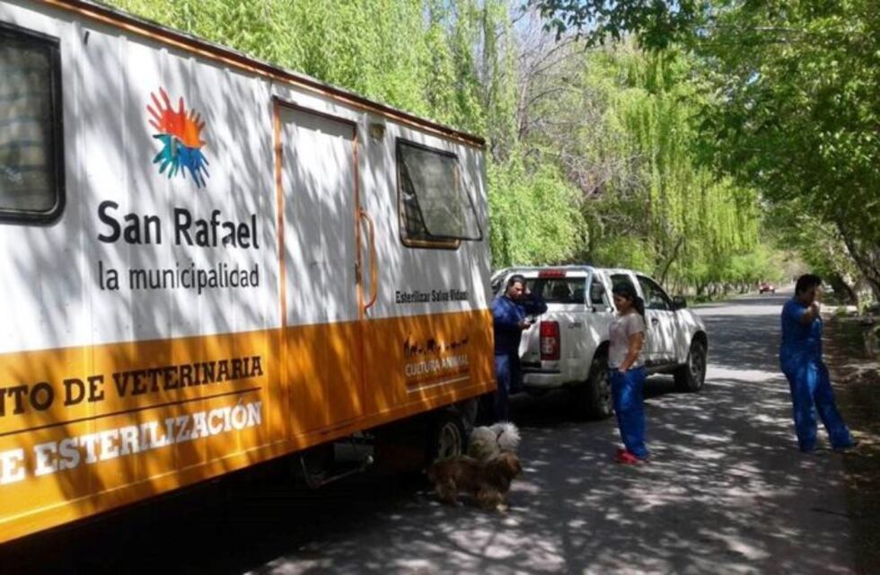 Por el coronavirus cierran oficinas municipales y suspenden actividades