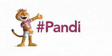 Presentaron a Pandi, la mascota de los Juegos Olímpicos de la Juventud Buenos Aires 2018\u002E