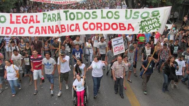 cannabis