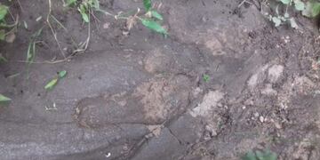 Huellas del gorila en Quines, San Luis\u002E