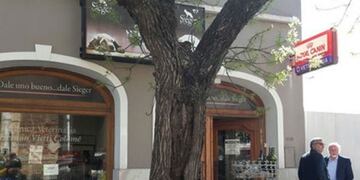 El fiscal Alberione llegó al lugar del hecho\u002E