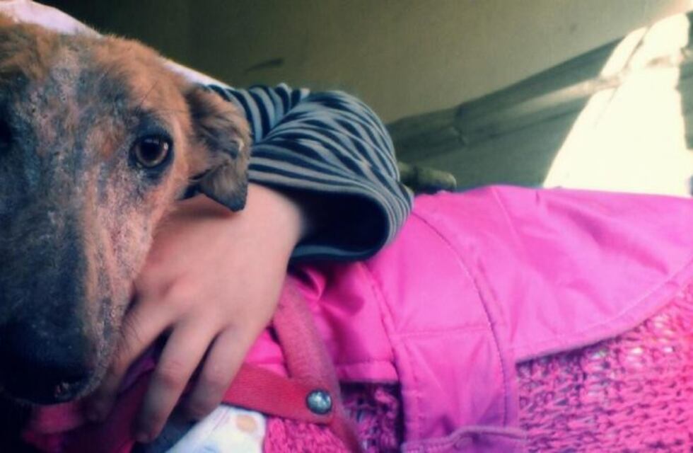 Génesis, la perra que salvaron dos veces de la muerte