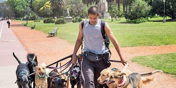 Dictarán capacitaciones para certificarse como paseador de perros