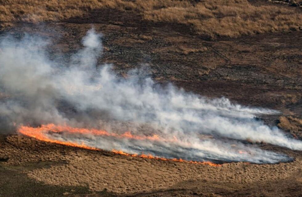 Quemas en las islas: "No es fácil controlar el fuego con gente a la que no le importa nada"