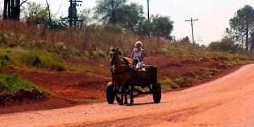 Tracción a sangre en Posadas