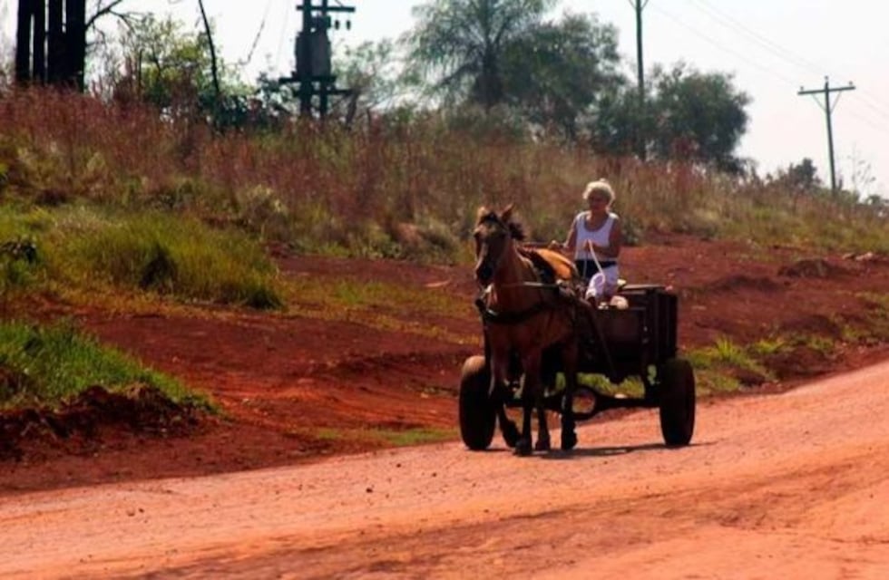 La Municipalidad avanza en erradicar la tracción a sangre en Posadas
