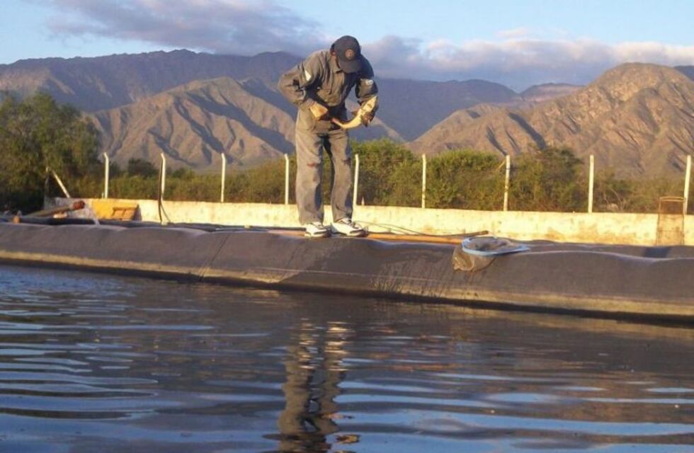 Escándalo en Anillaco por la muerte "intencional" de un centenar de pescados