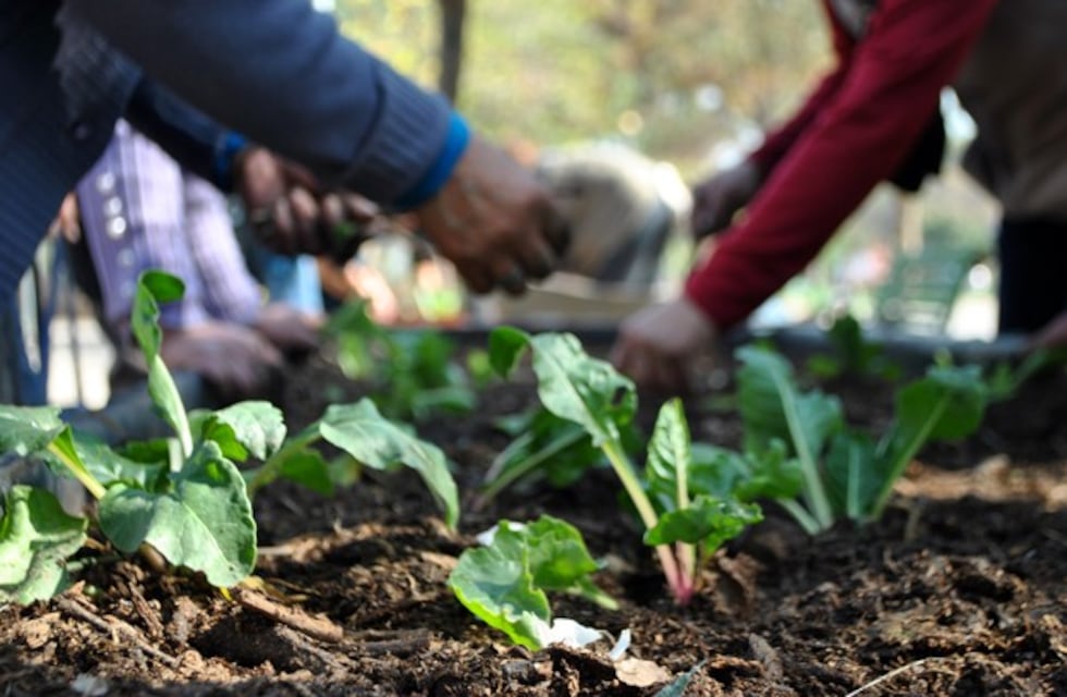 Capacitación sobre huertas a familias y organizaciones sociales