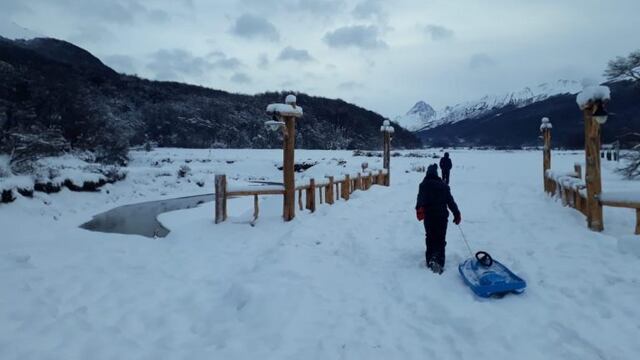 Invierno en Ushuaia, el trineo nunca falla