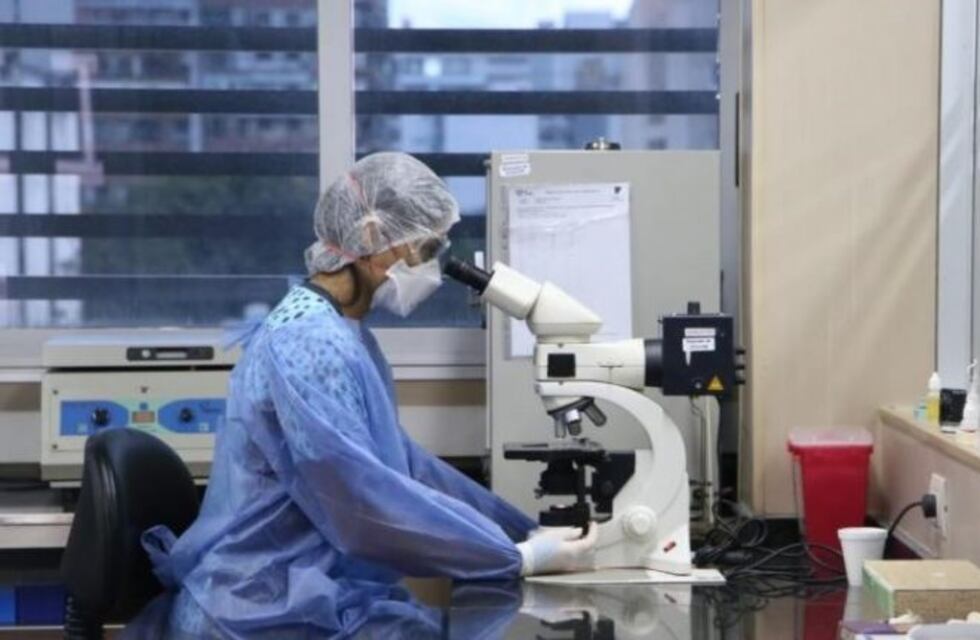 Coronavirus: los resultados de los análisis que se realicen en Tucumán se conocerán en 48 horas