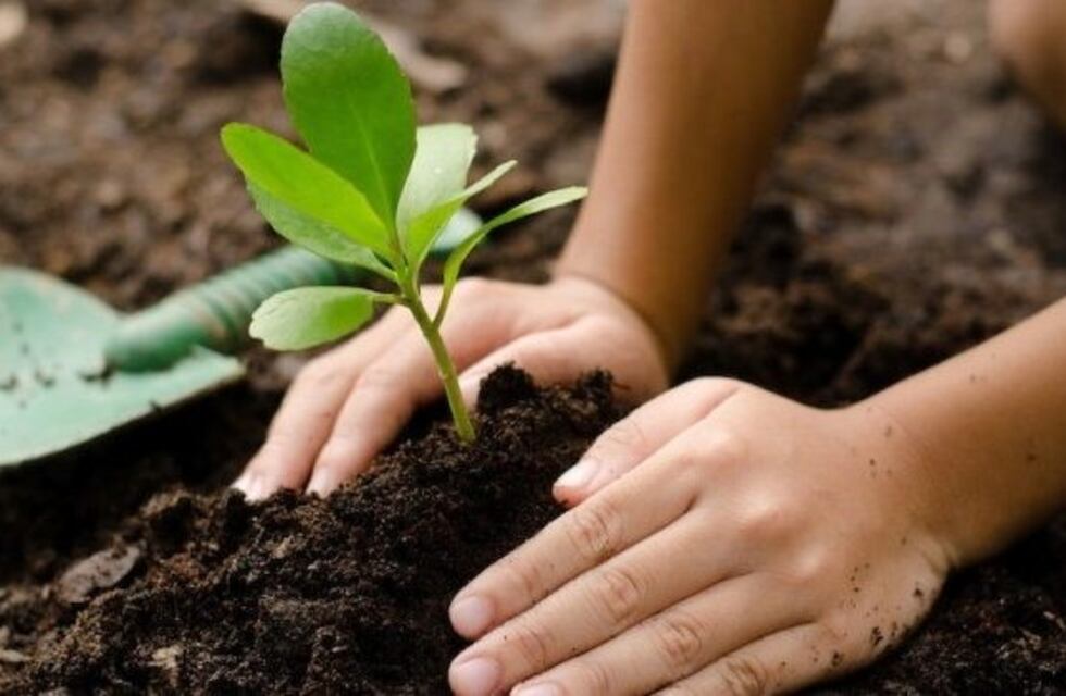 Carlos Paz: darán una charla sobre producción de tierra negra