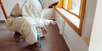 Mejoras edilicias (web)